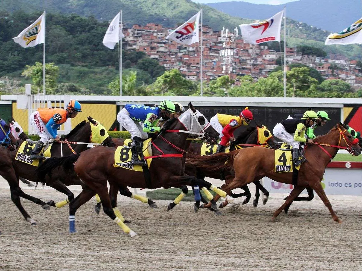 Programadas 12 carreras el domingo en La Rinconada