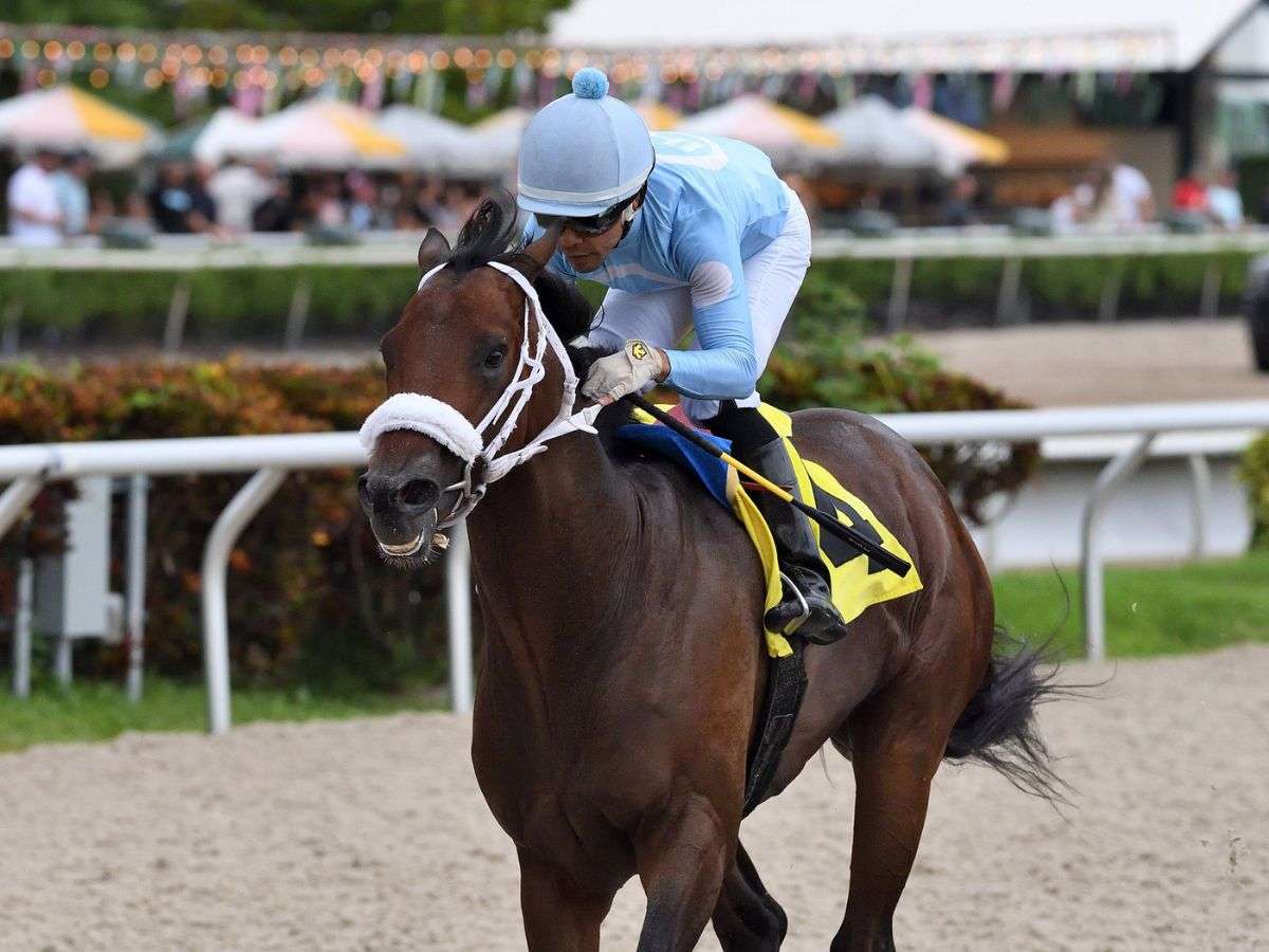 Venezolanos mandan en Tampa Bay Downs