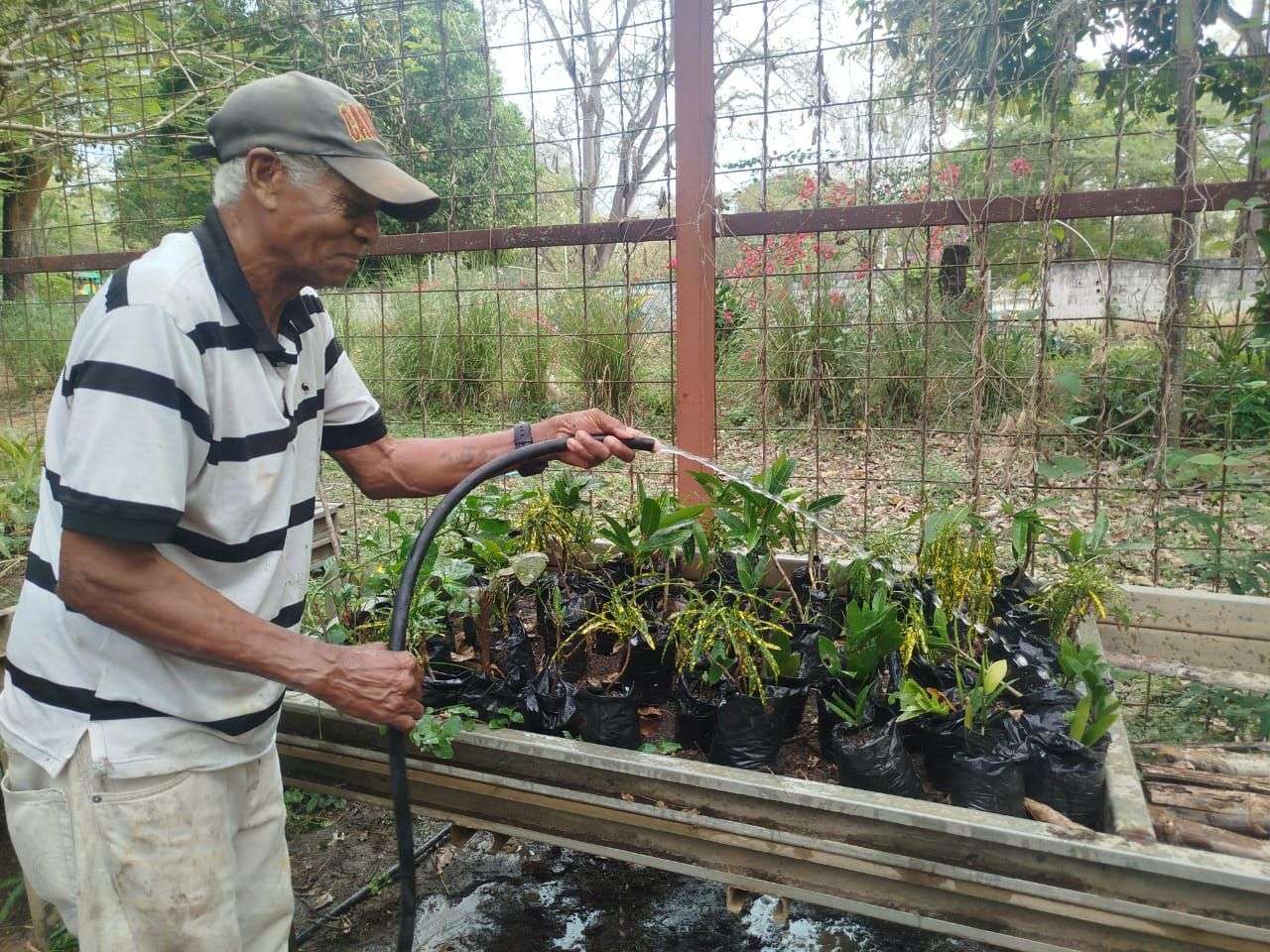 Recuperan vivero municipal de Santa Lucía del Tuy