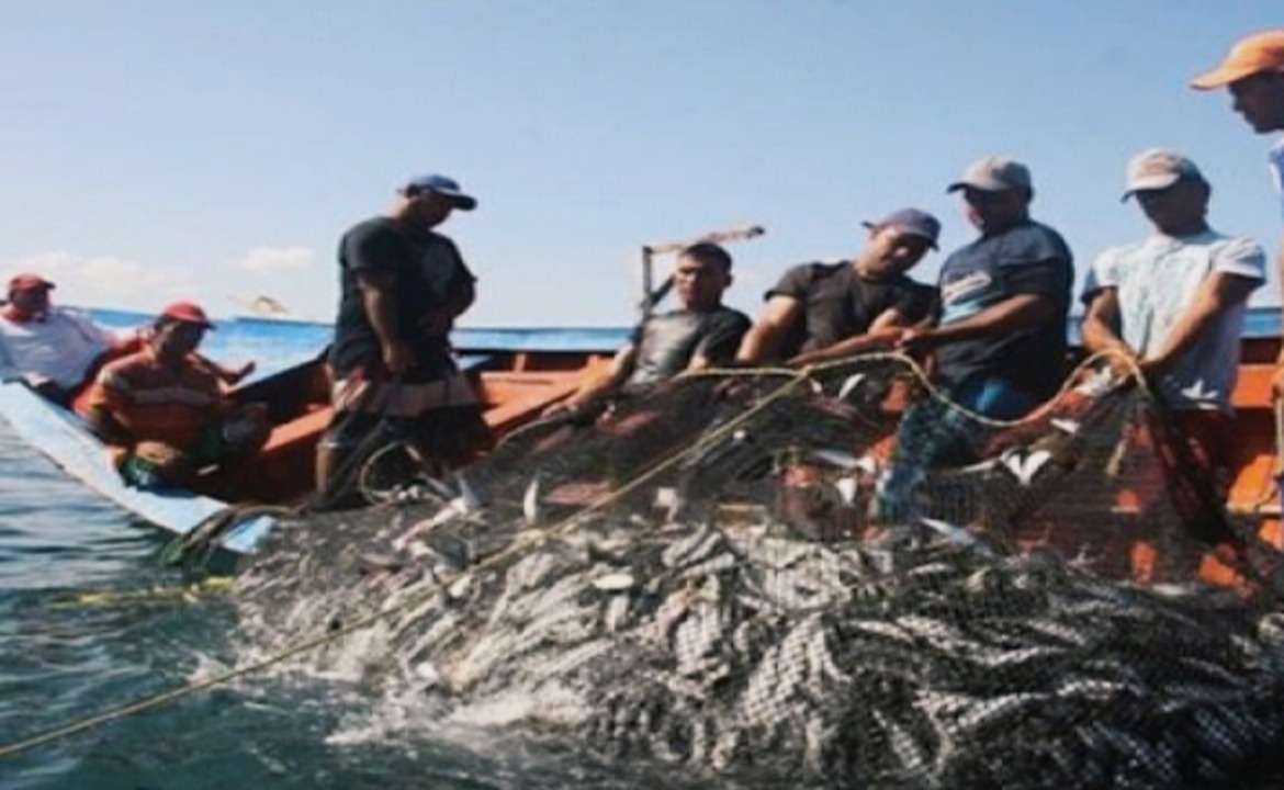 En Sucre más de 15.000 pescadores tributan a la producción nacional