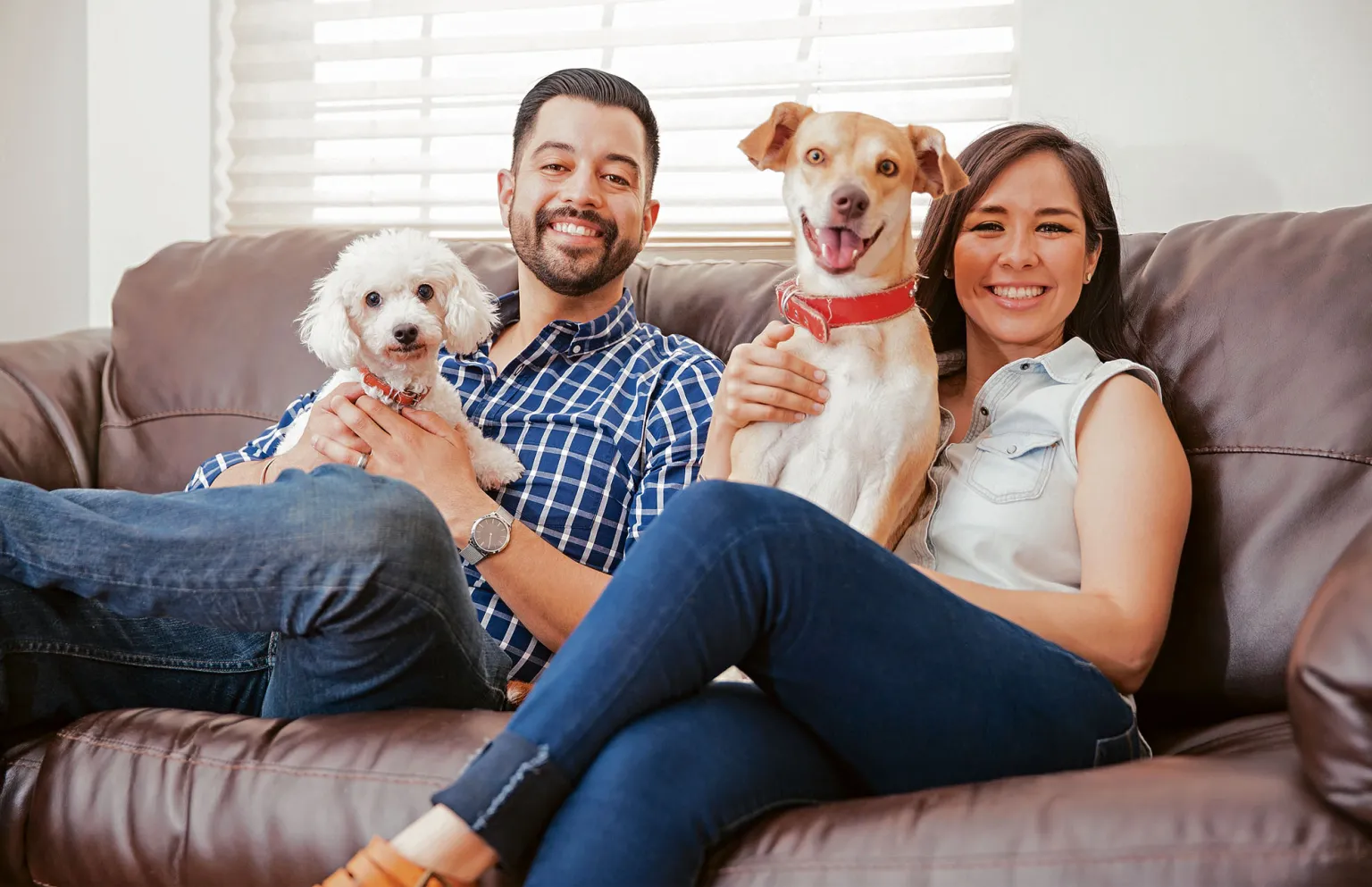 En España las mascotas son miembros del hogar