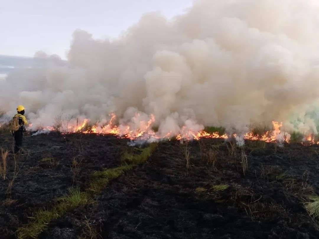 El 98% de los incendios forestales son evitables
