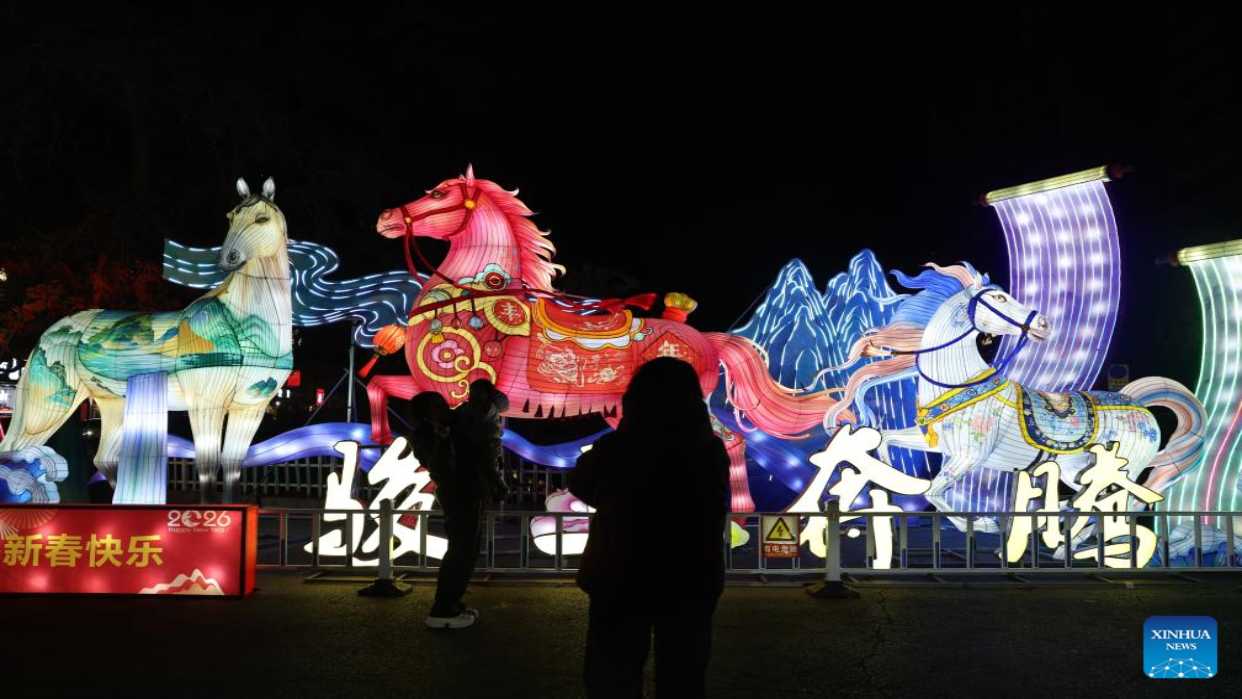 Presidenta (E) saluda a los pueblos asiáticos por el Año Nuevo Lunar