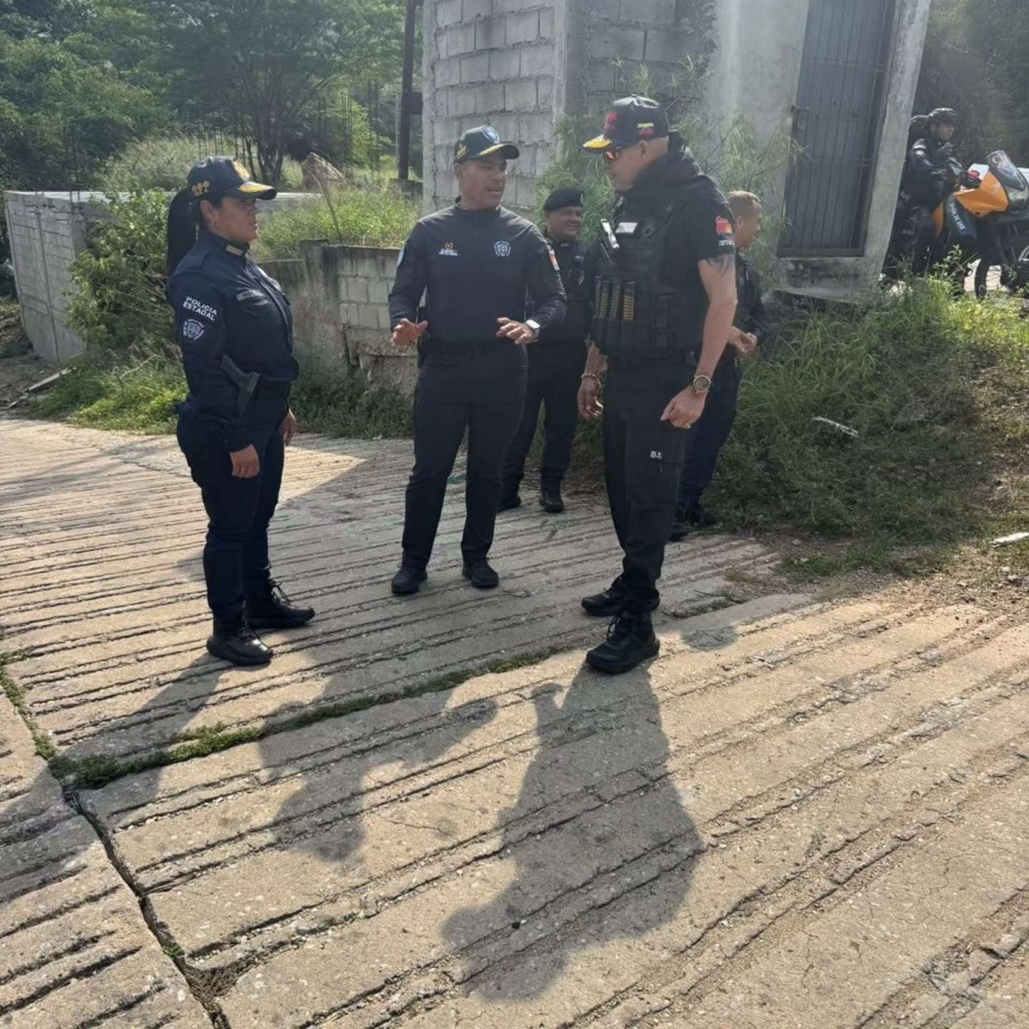 Abatidos El Negro, El Robacarro y El Monstruo de Naguanagua