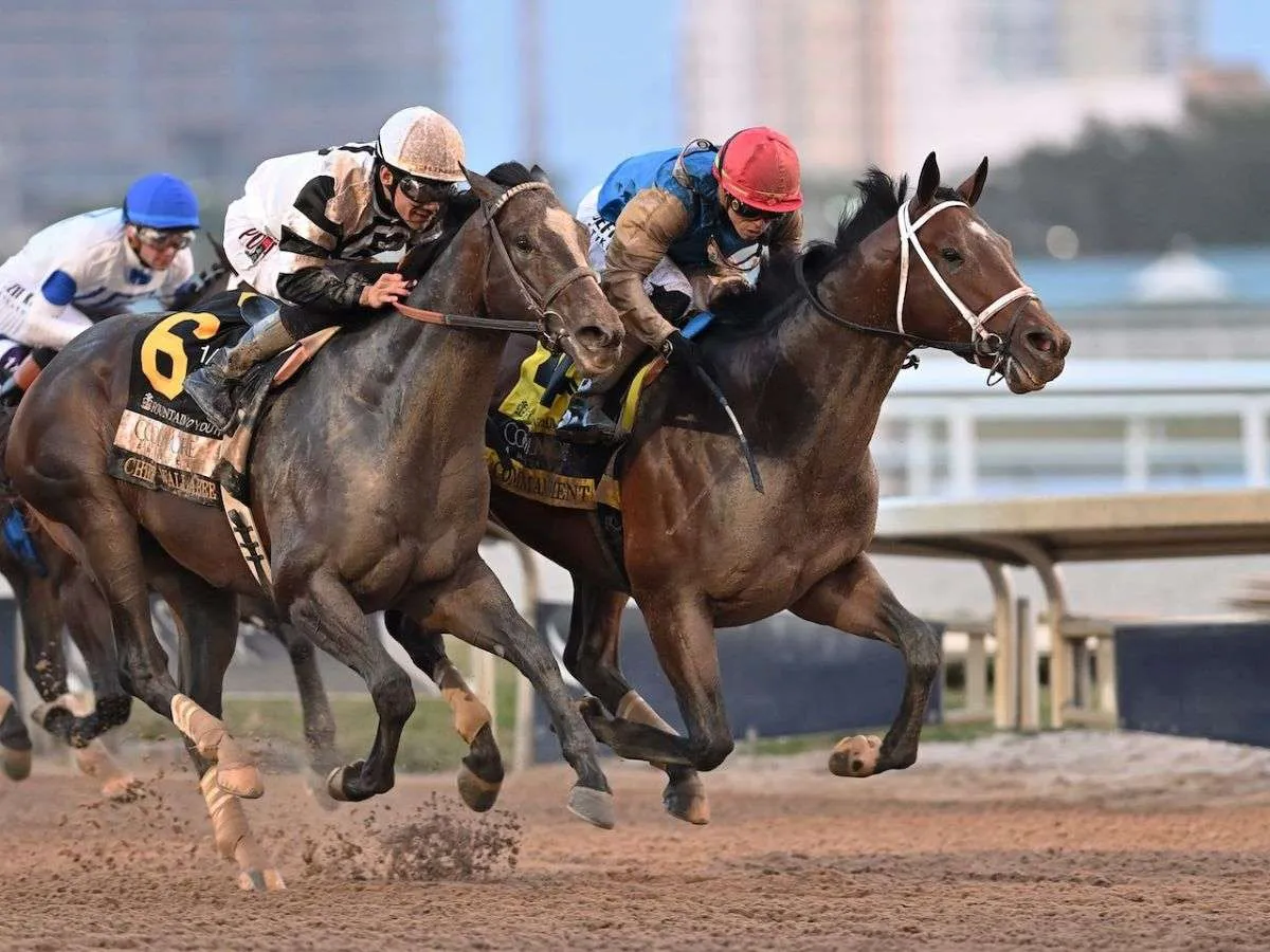 Commandment y Chief Wallabee en gran demostración