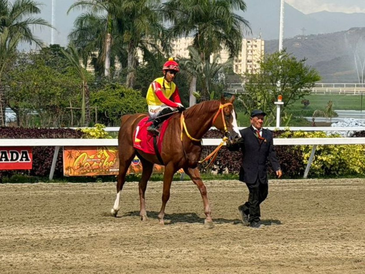 Preposition quedó listo para las selectivas