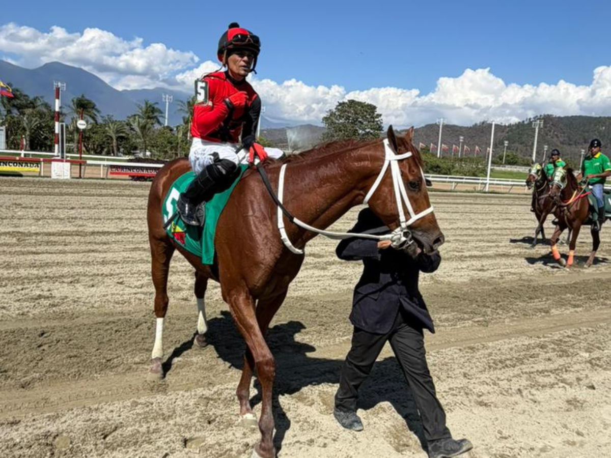 Khoolzan se estrenó en el paddock de La Rinconada