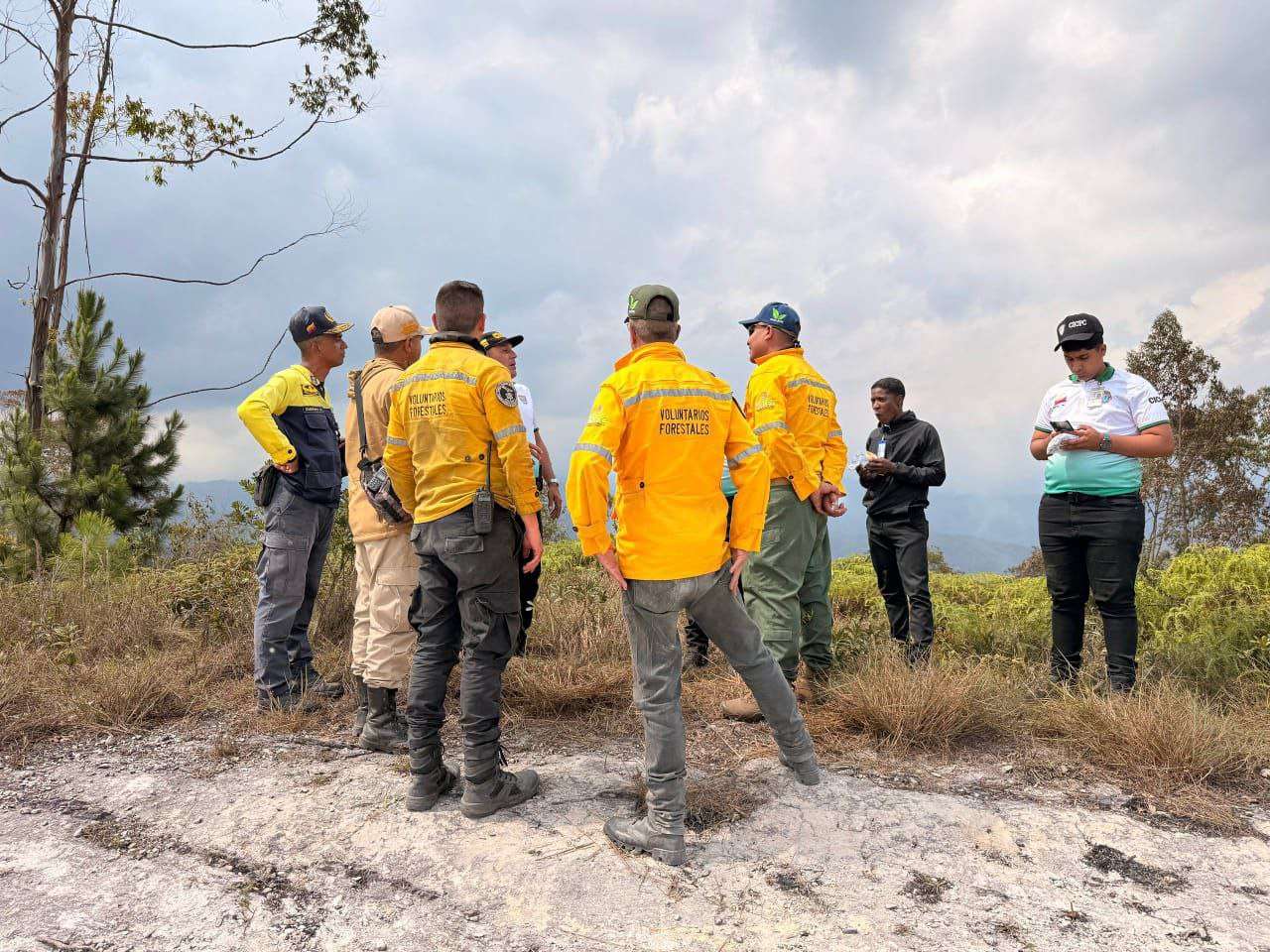 Sistema de Gestión de Riesgo contiene incendios en los parques nacionales Henri Pittier y Macarao