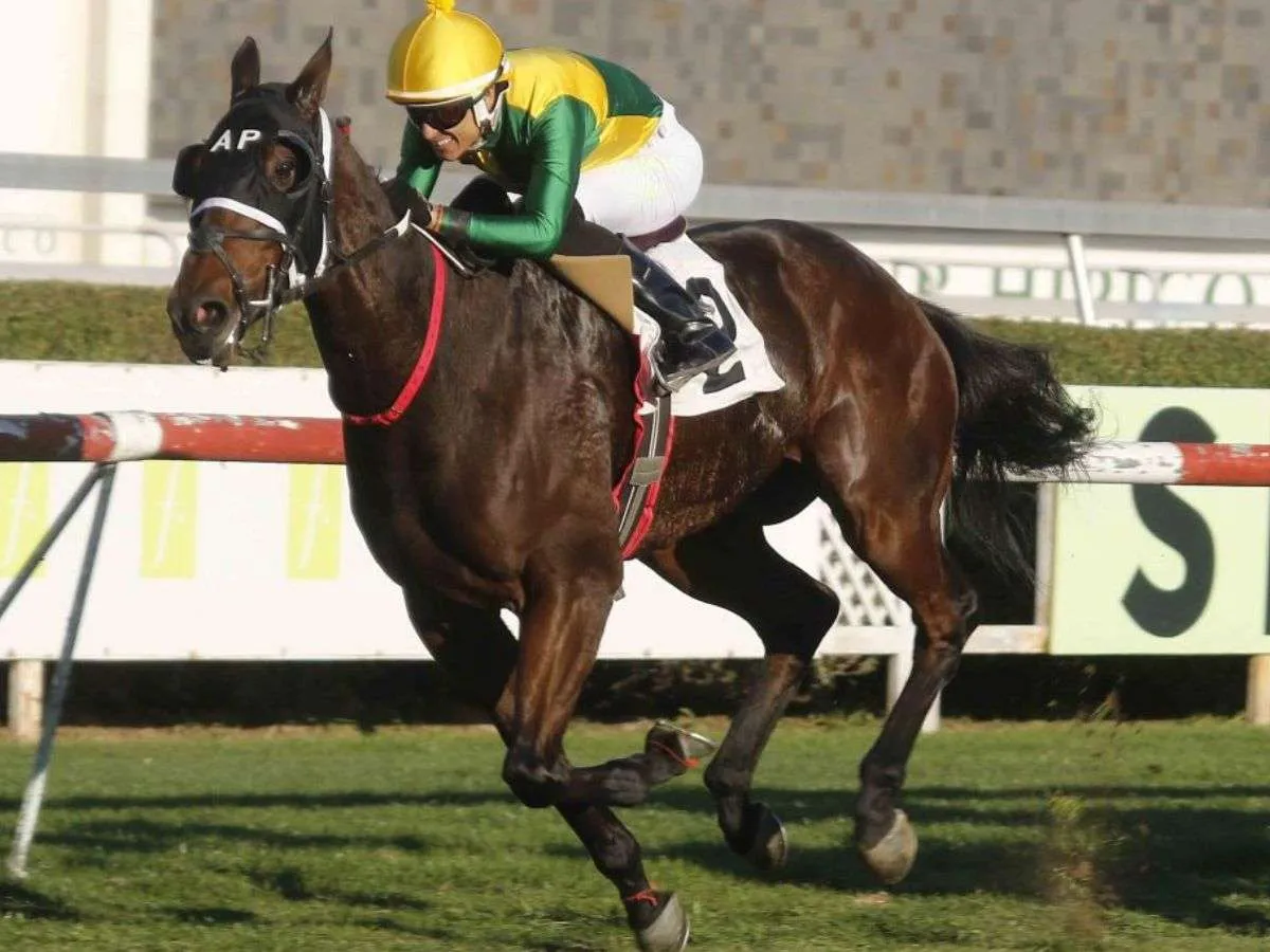 Delegaciones para el Latino 2026