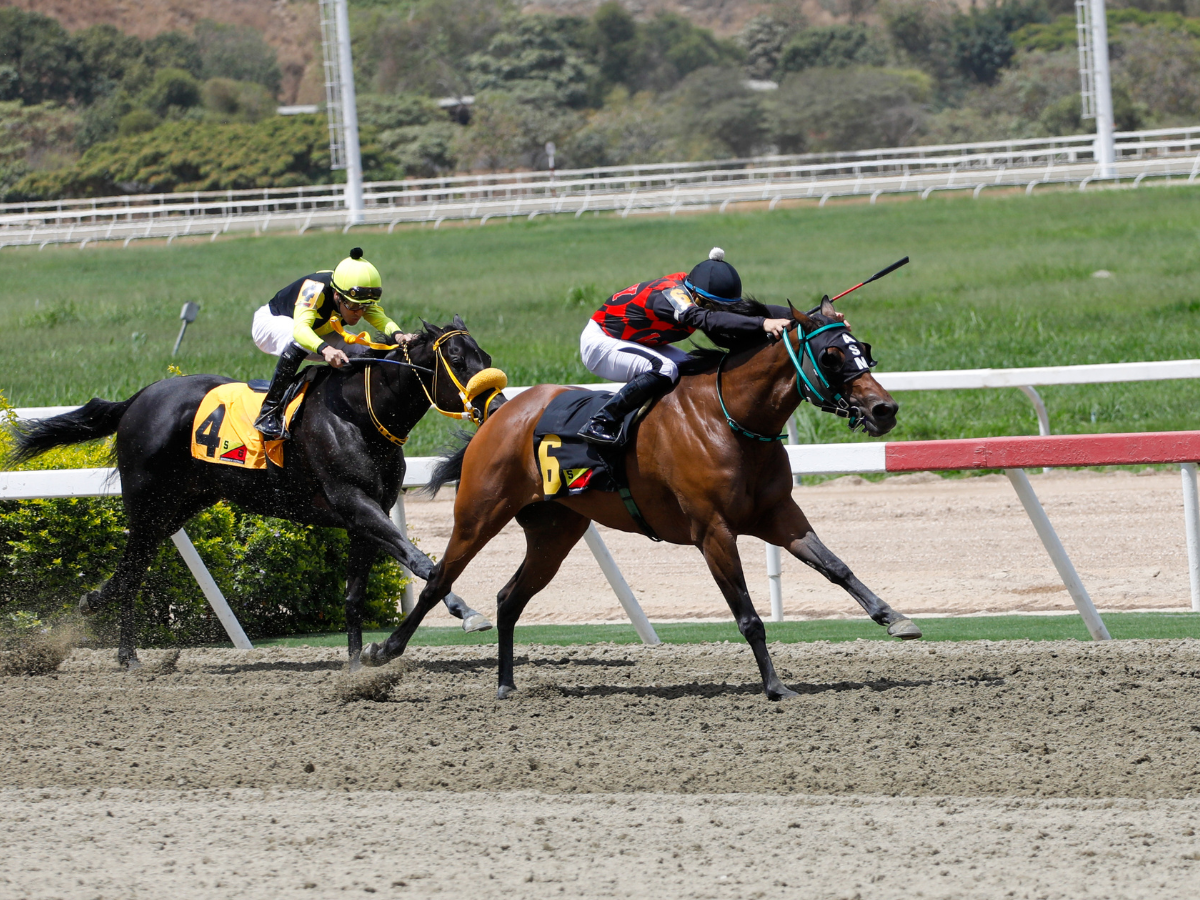Mother Carmen se anotó el Eduardo Larrazábal Eduardo