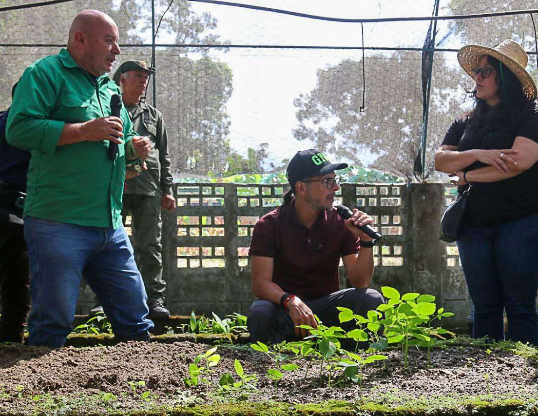 Proyectos populares del 2026 en Táchira deben ser ecológicos
