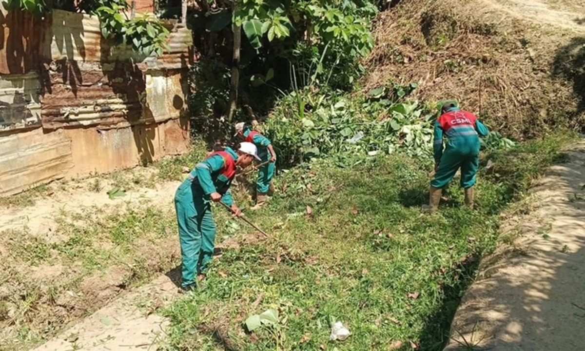 Refuerzan plan pica y poda en Caracas