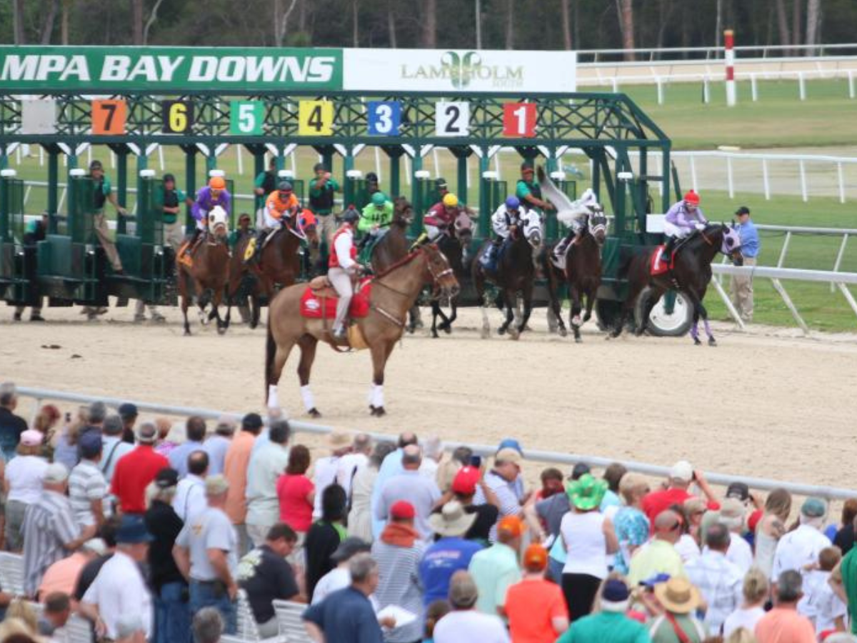 Jinetes criollos arrasaron en Tampa Bay Downs
