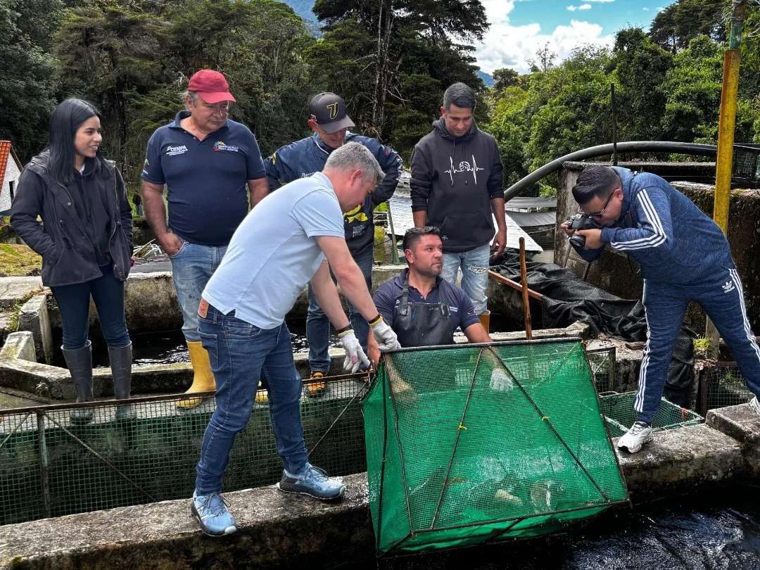 Fortalecen cría de truchas con el uso de ciencia nuclear en el país