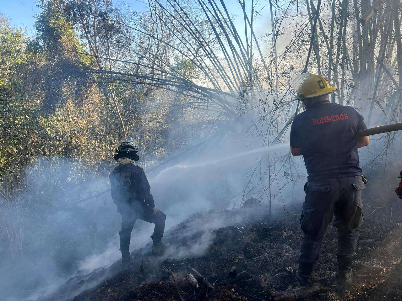 Bomberos combaten incendio de vegetación en Hoyo de la Puerta