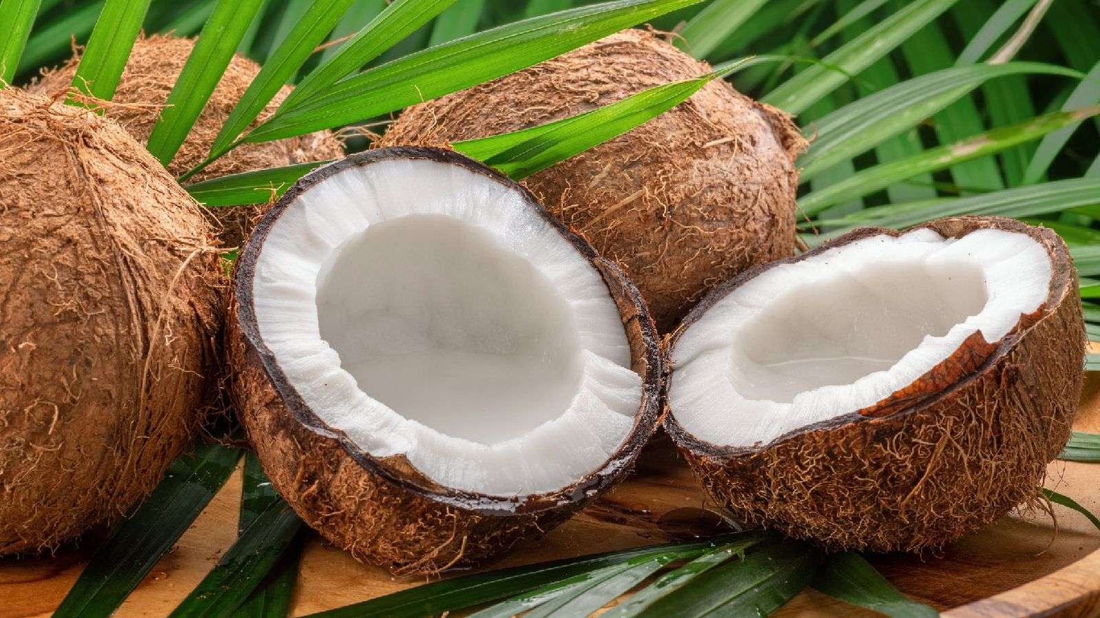 Con sello venezolano: Coco, Palmeras y vida