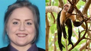 El perturbador caso de Amanda, la mujer que pagaba por videos de extrema crueldad contra animales