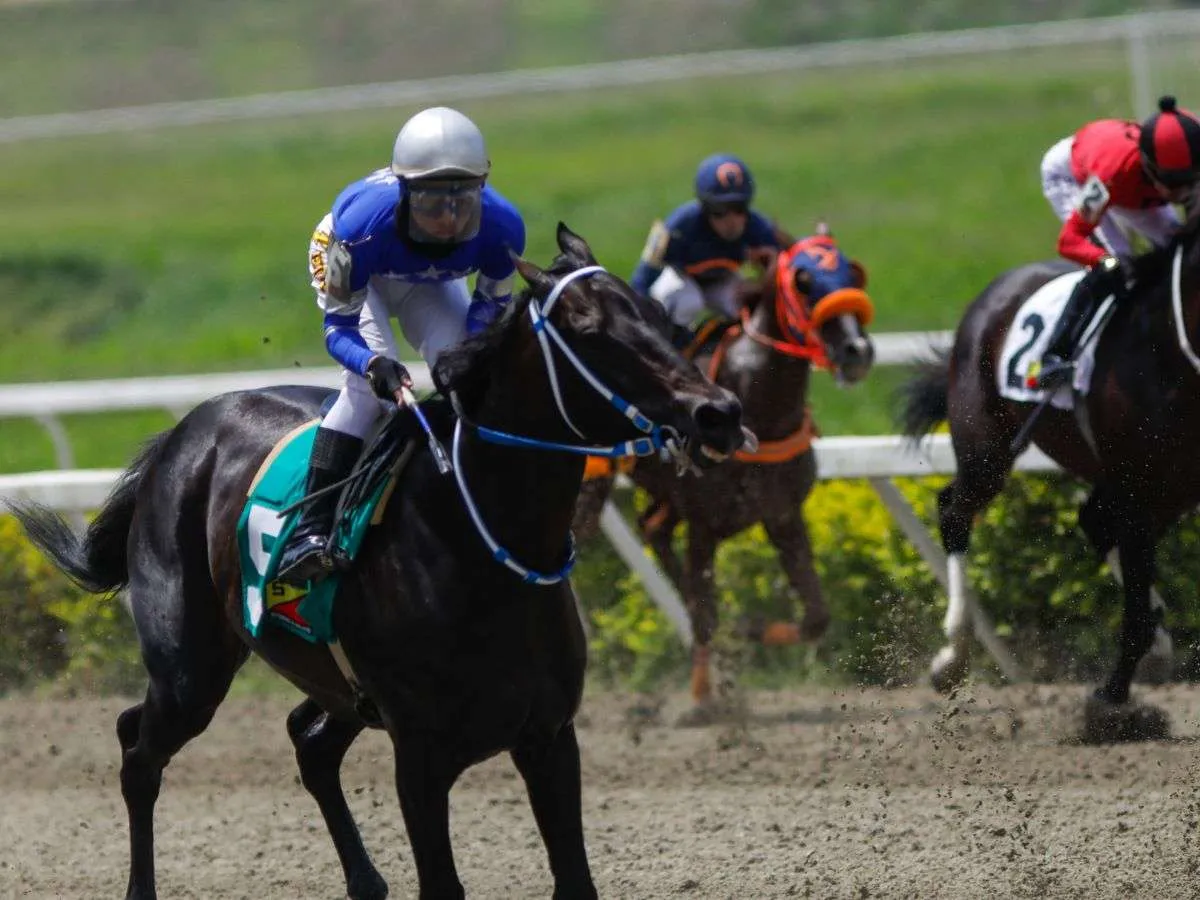 First Time se llevó la foto en la única carrera de Caracas