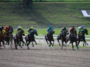 Ataques informáticos masivos obligan a la cancelación de la jornada hípica en La Rinconada