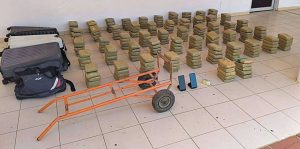 Incautan 137 kilos de marihuana y desarticulan red de tráfico en Falcón