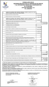 Latitud Seguros MS-02 al 31/03/2026