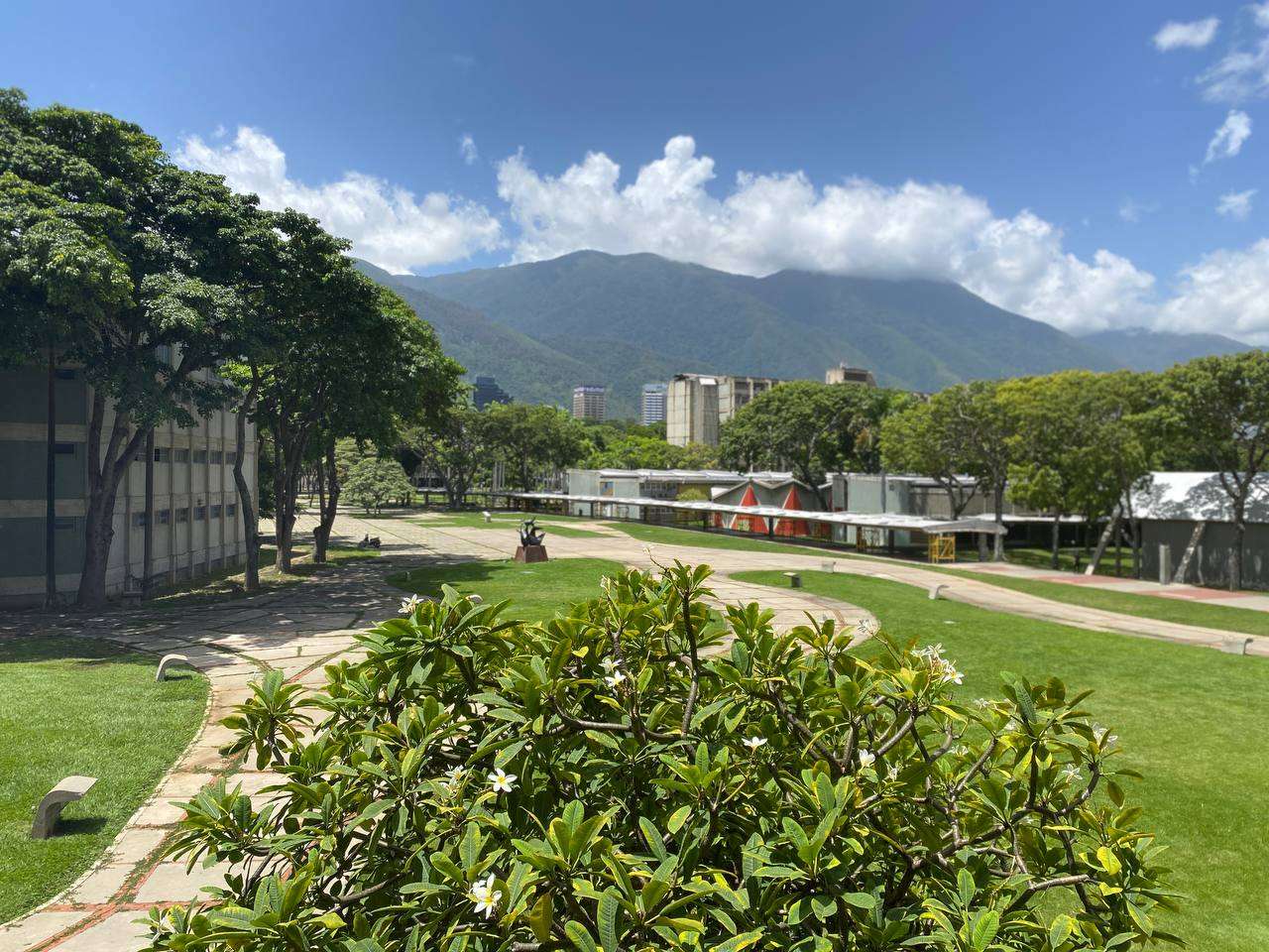 Rehabilitan más de 500.000 metros cuadrados de áreas verdes en la UCV