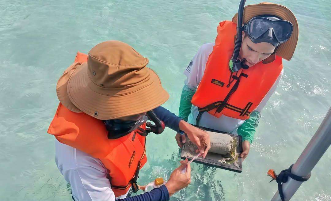 Científicos evalúan potencial de "carbono azul" en Morrocoy