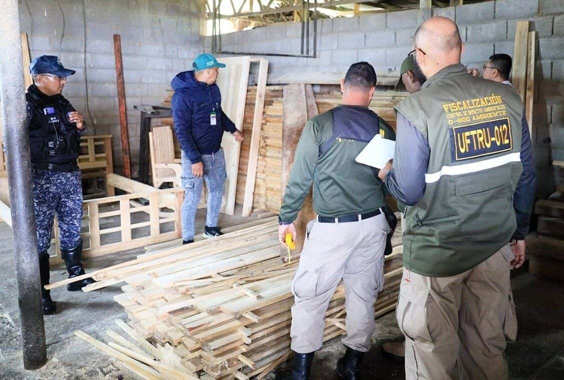 Incautan madera y carbón de procedencia ilícita en operativo