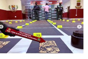 La Fanb neutraliza redes de droga