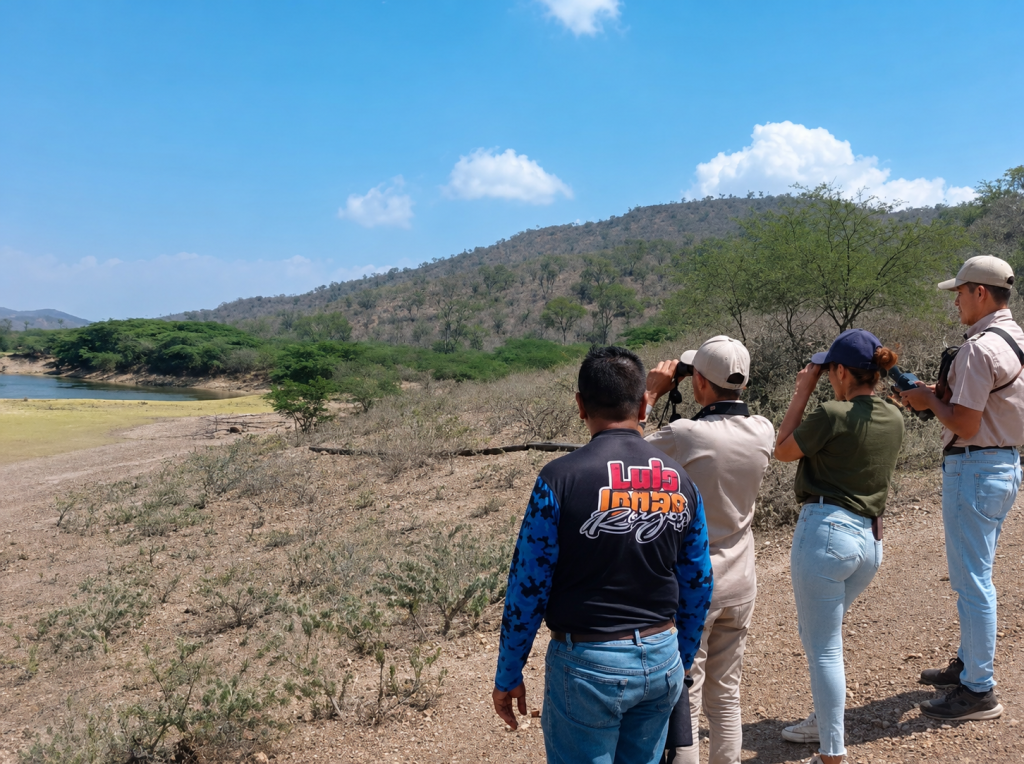 Estudian en Lara poblaciones de la llamada cotorra amarilla