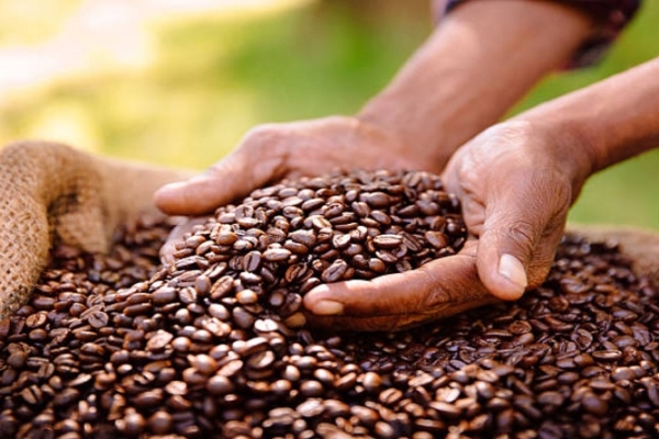 Trucos para diferenciar un café bueno de uno malo