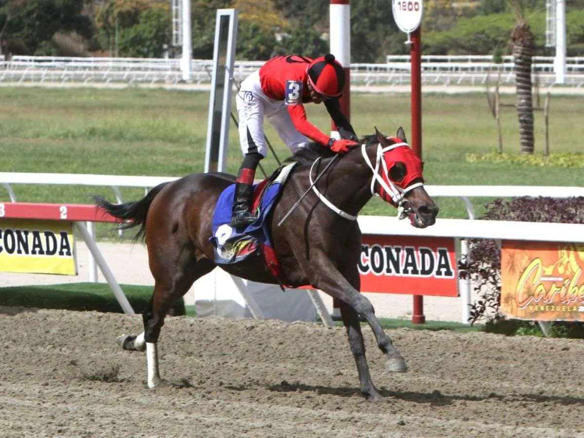 Ekati King se creció en el Clásico Juan Arias