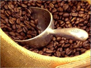 Premiarán excelencia de variedades de café arábica cultivadas en el país