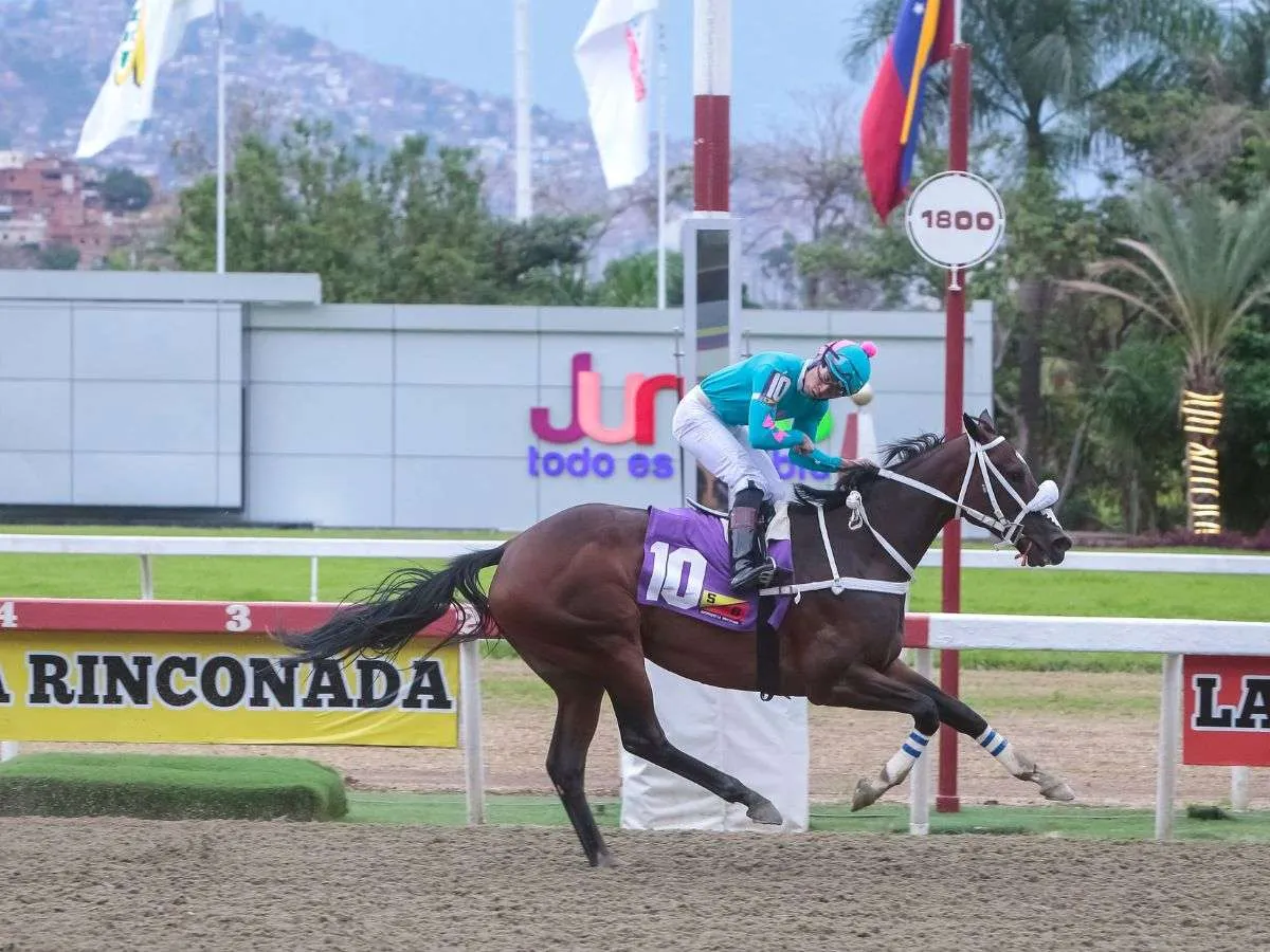 El Clásico Gustavo Ávila el plato fuerte