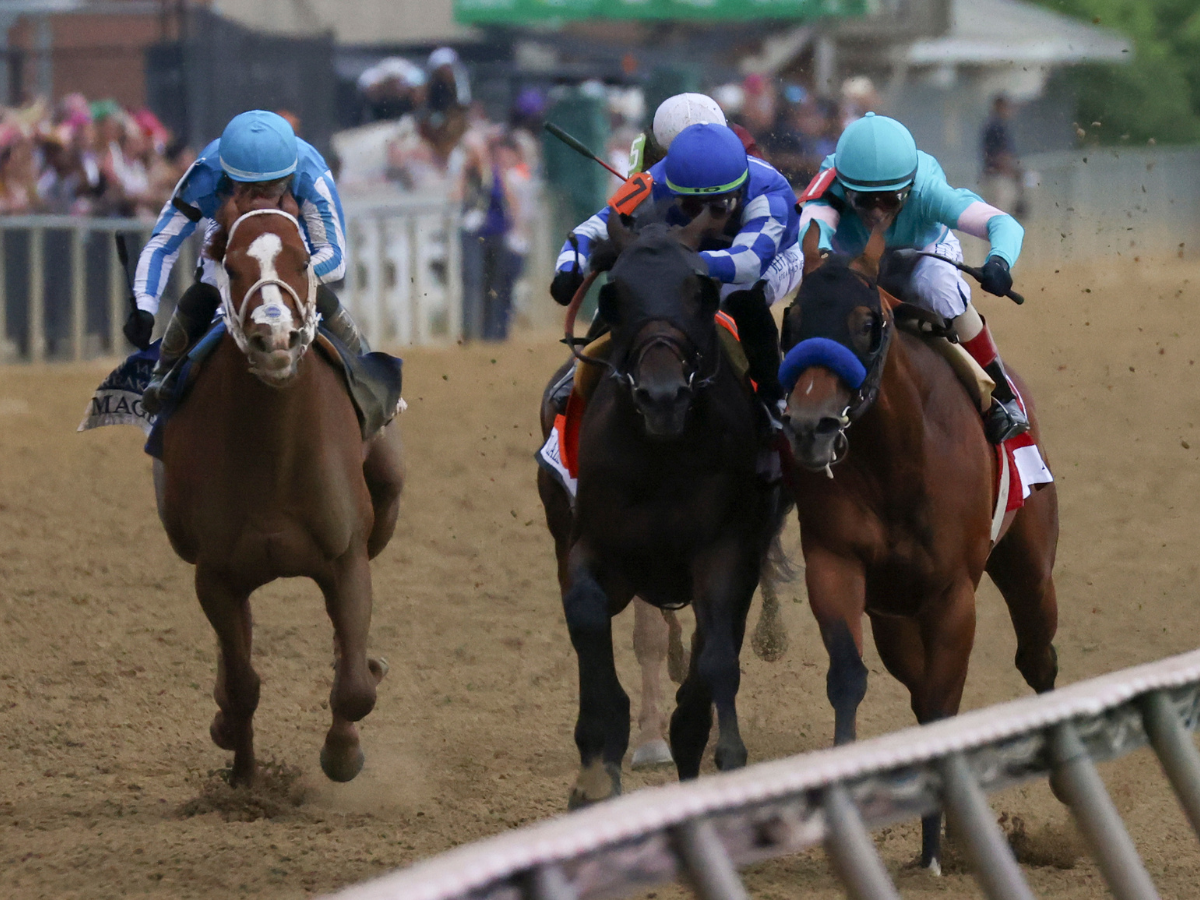 14 buscarán la gloria en el Preakness 151