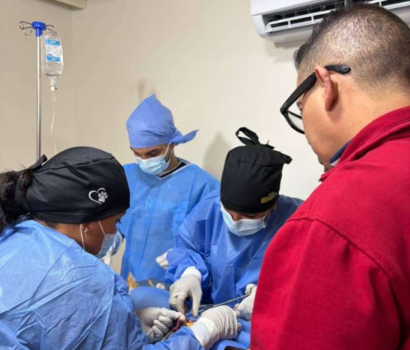 Remozado y ampliado centro veterinario de Misión Nevado en Barquisimeto