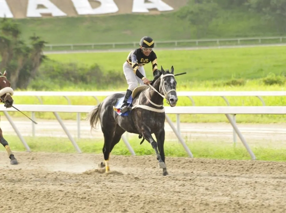 Eglinder Betancourt retornó fino - Líder en deportes