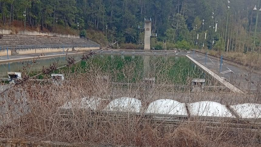 Atraparon a caimán que vivía en piscina olímpica en la Universidad Simón Bolívar