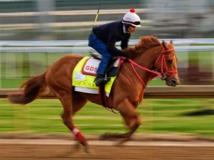 The Puma fue retirado del Derby de Kentucky