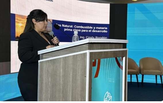 Viceministra Rondón: más de 1.800 millones de pies cúbicos de gas se distribuyen a diario en el país