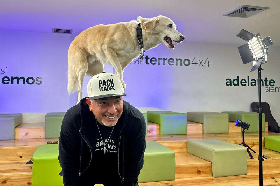 La fórmula de la energía correcta de César Millán para conectar con tu perro: silencio, calma, confianza, amor y alegría