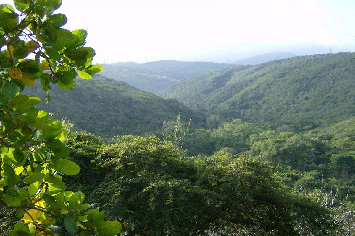 Delcy Rodríguez aprueba ampliación del Parque Nacional Terepaima