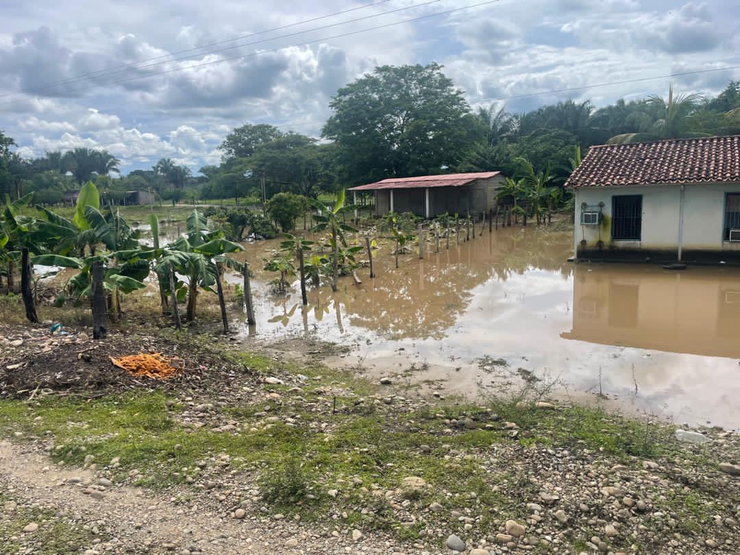 Lluvias causan afectaciones en cuatro municipios de Barinas 