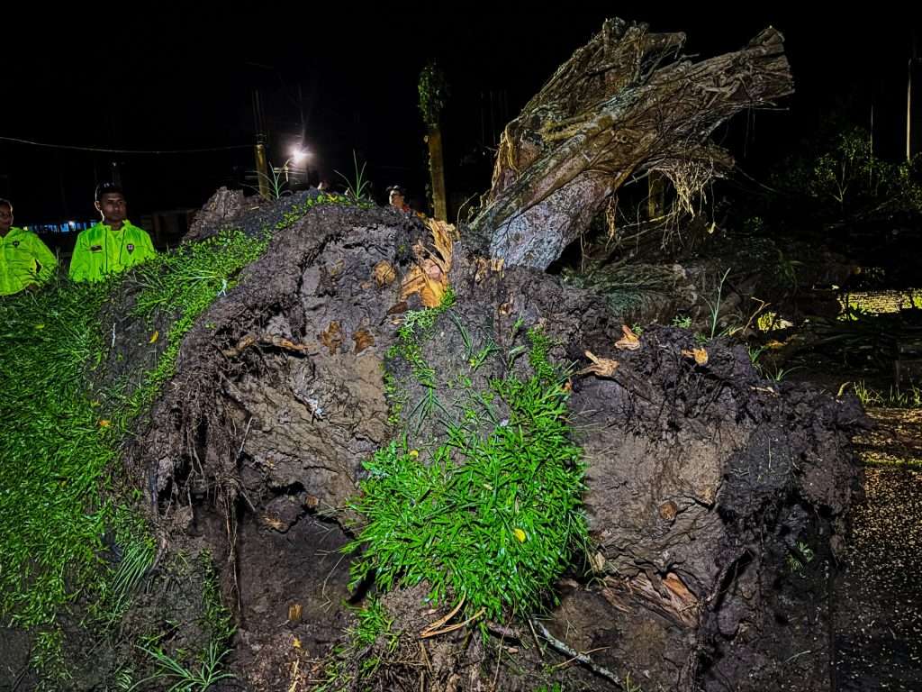 Despliegan cuadrillas en Tucupita tras lluvias y ráfagas de viento