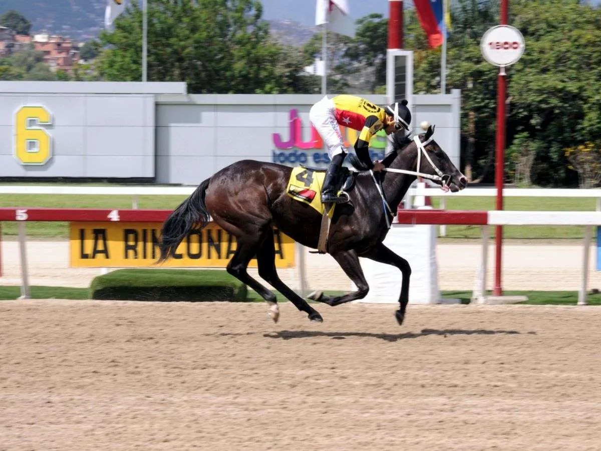 Fast Sensations dijo adiós con su último galope