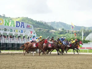 Resultados de La Rinconada