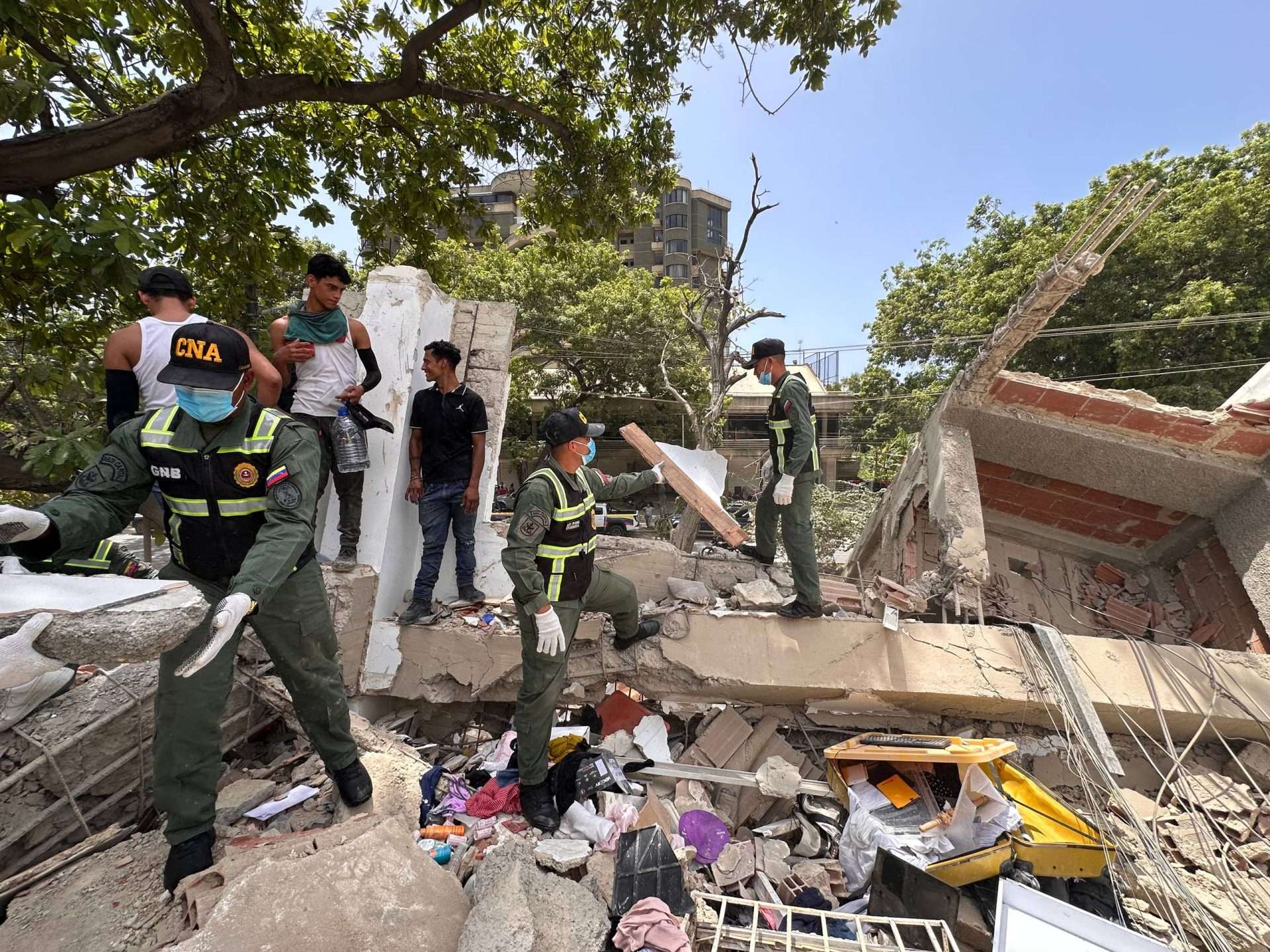 Comando Antidrogas rescató una Poodle