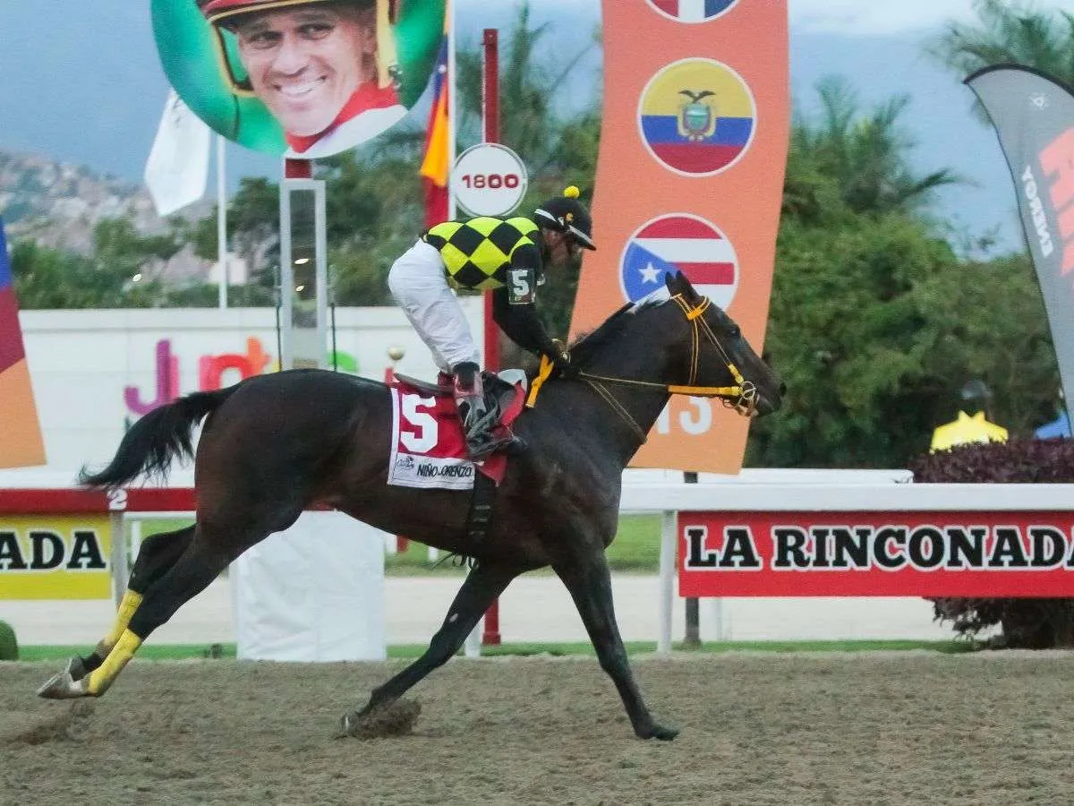 INH-Venezuela está dispuesto a montar el Clásico del Caribe