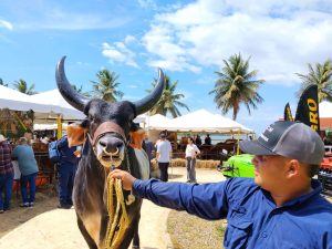 Congreso de Ganadería Tropical movilizó a unas 70 mil personas en Maracaibo