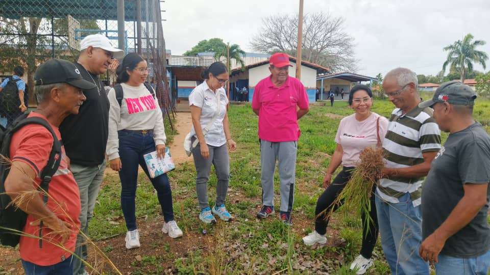 Con 300 plantas de plátano activan la producción escolar en Monagas